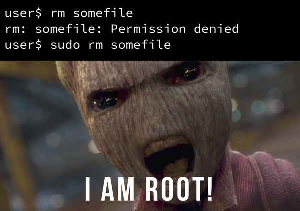 Redirect root's email